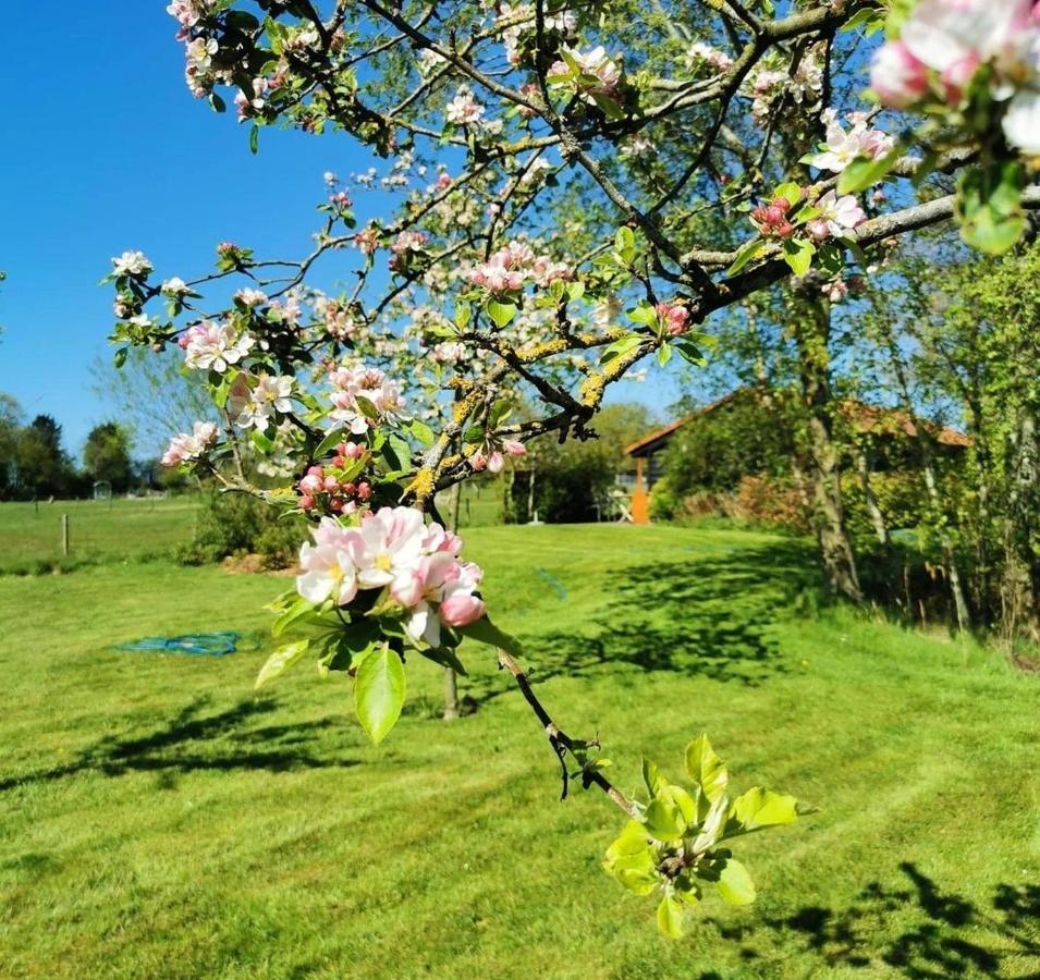 Villa "Op Stok" Bergen Esterno foto